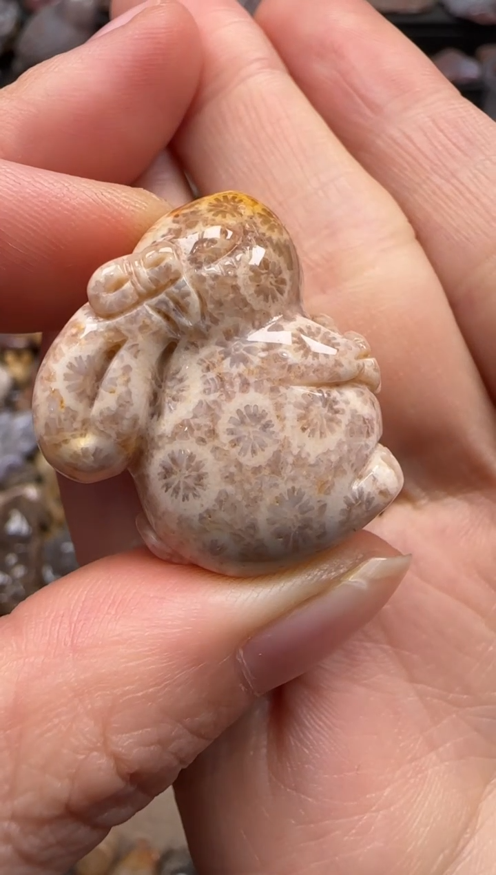 【闪购商品】硅化珊瑚（珊瑚玉）颈饰未镶嵌615