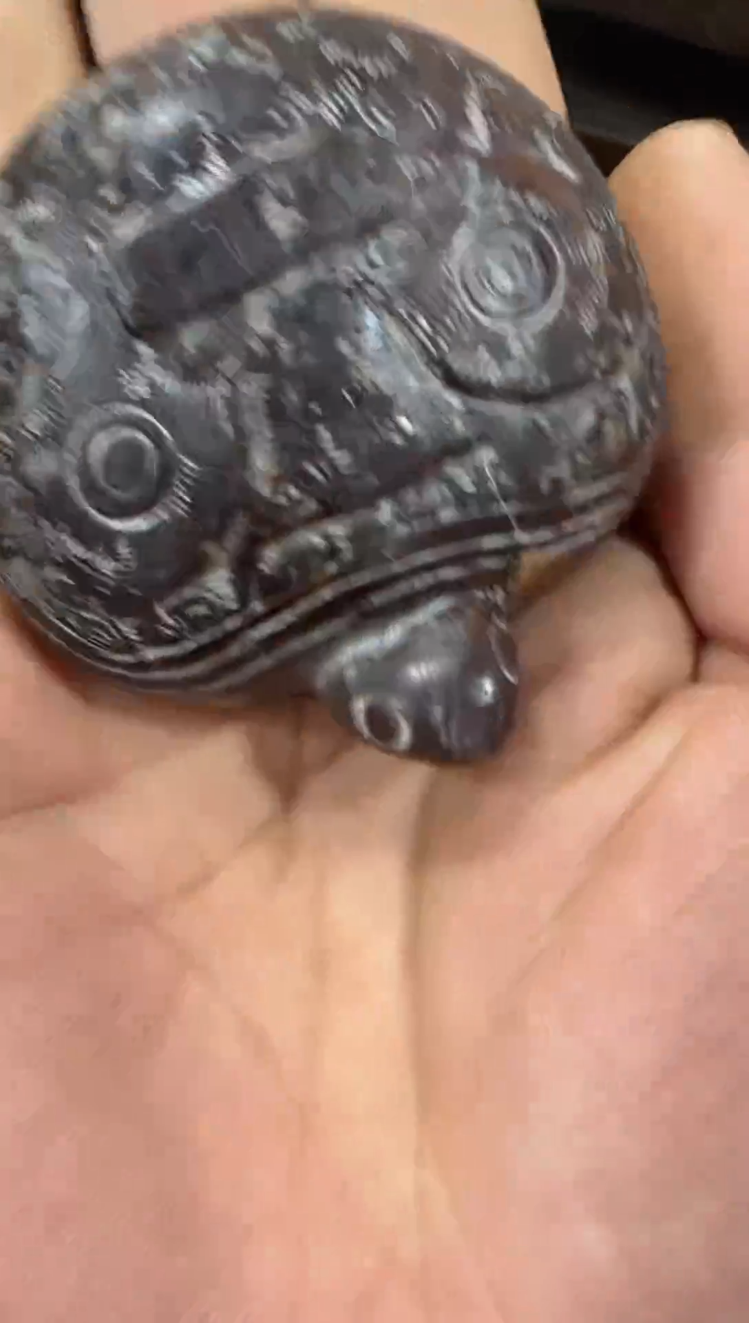 未镶嵌和田玉（糖玉）把件1