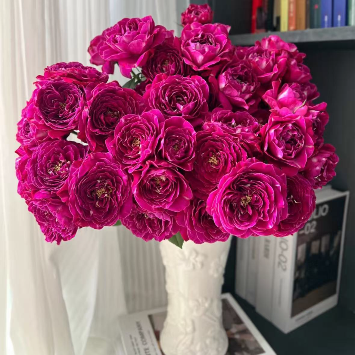 【一品花集】【花溅泪】稀有多头玫瑰（注意：带包装醒花哦~）
