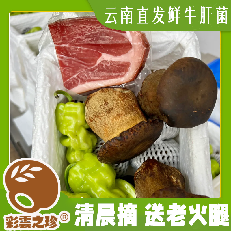 云南新鲜黑牛肝菌 菌子蘑菇菌菇特产 可煲汤火锅爆炒 顺丰空运