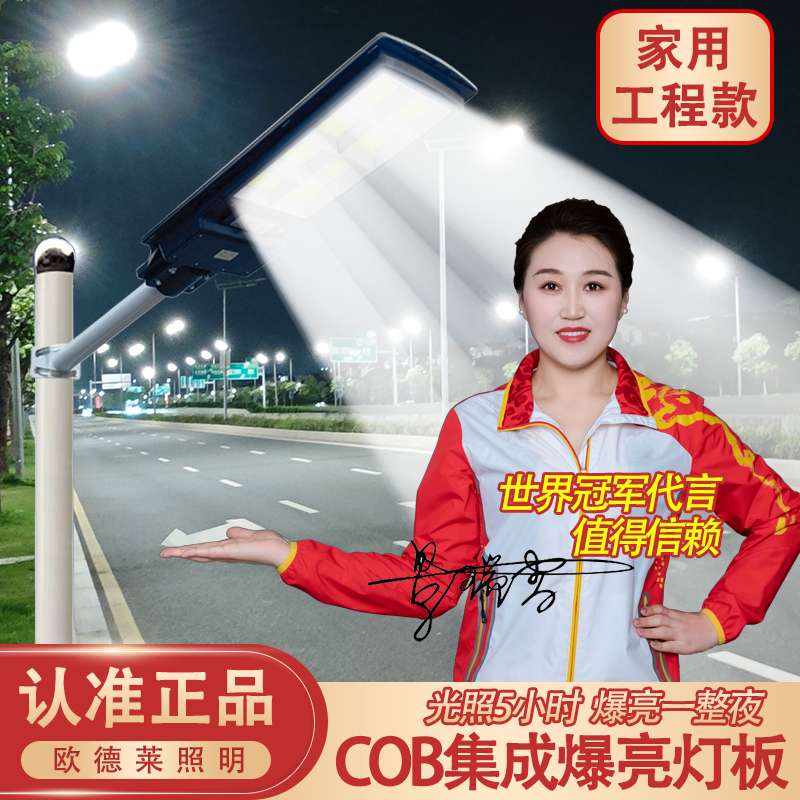 【新品上市】2025升级Cob太阳能路灯庭院灯感应遥控防水家用超亮