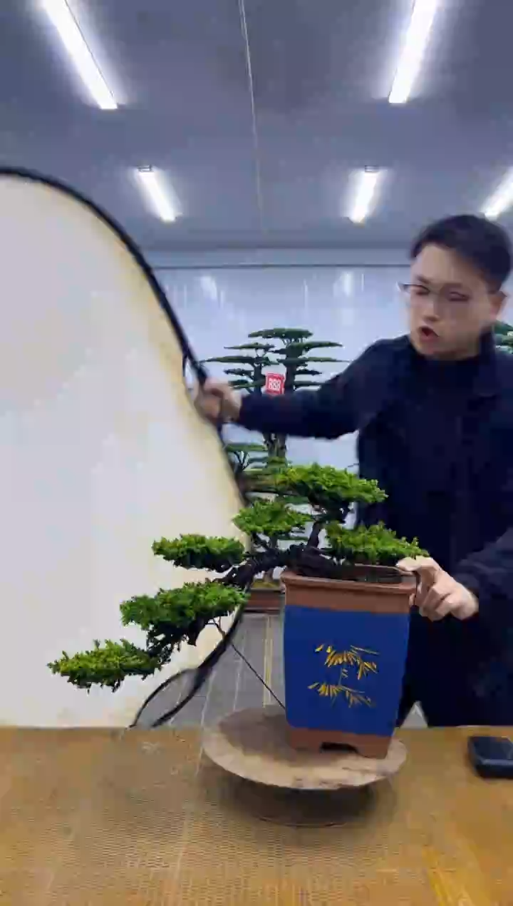 无花朵00000000000000000