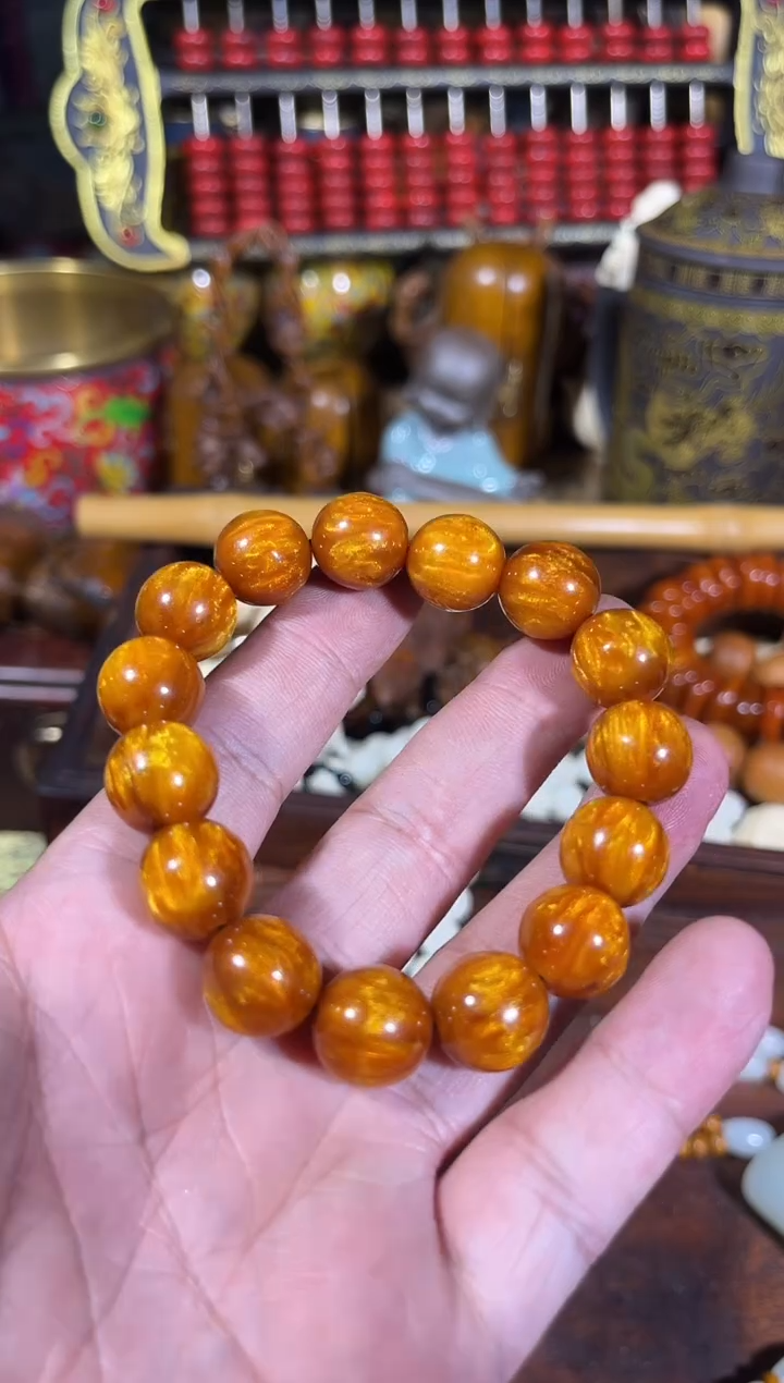 黄杨木11111111111111111111