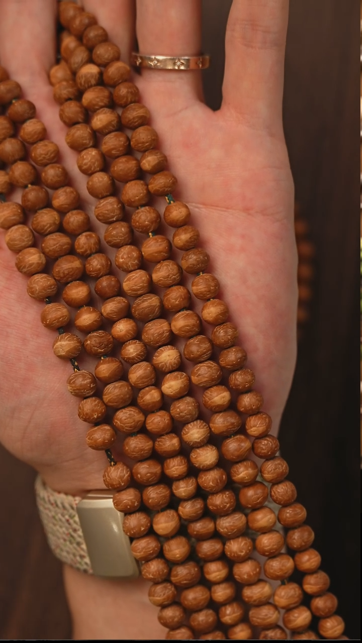 吊坠凤眼菩提S16酸枣核子曰一号