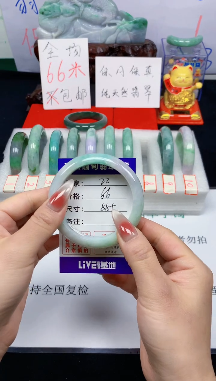 未镶嵌手镯翡翠22