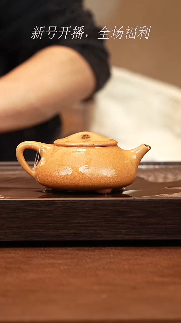 茶壶紫砂9y03黄金段石瓢
