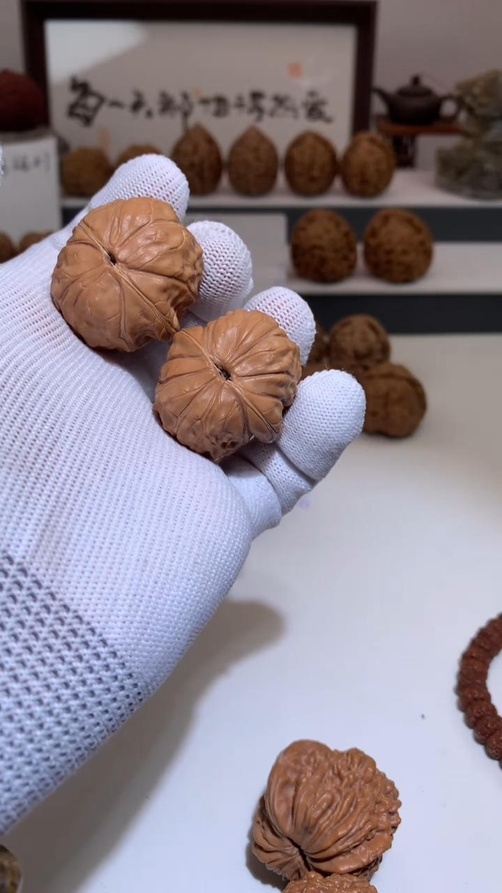 【闪购商品】桃核把件龟甲全品