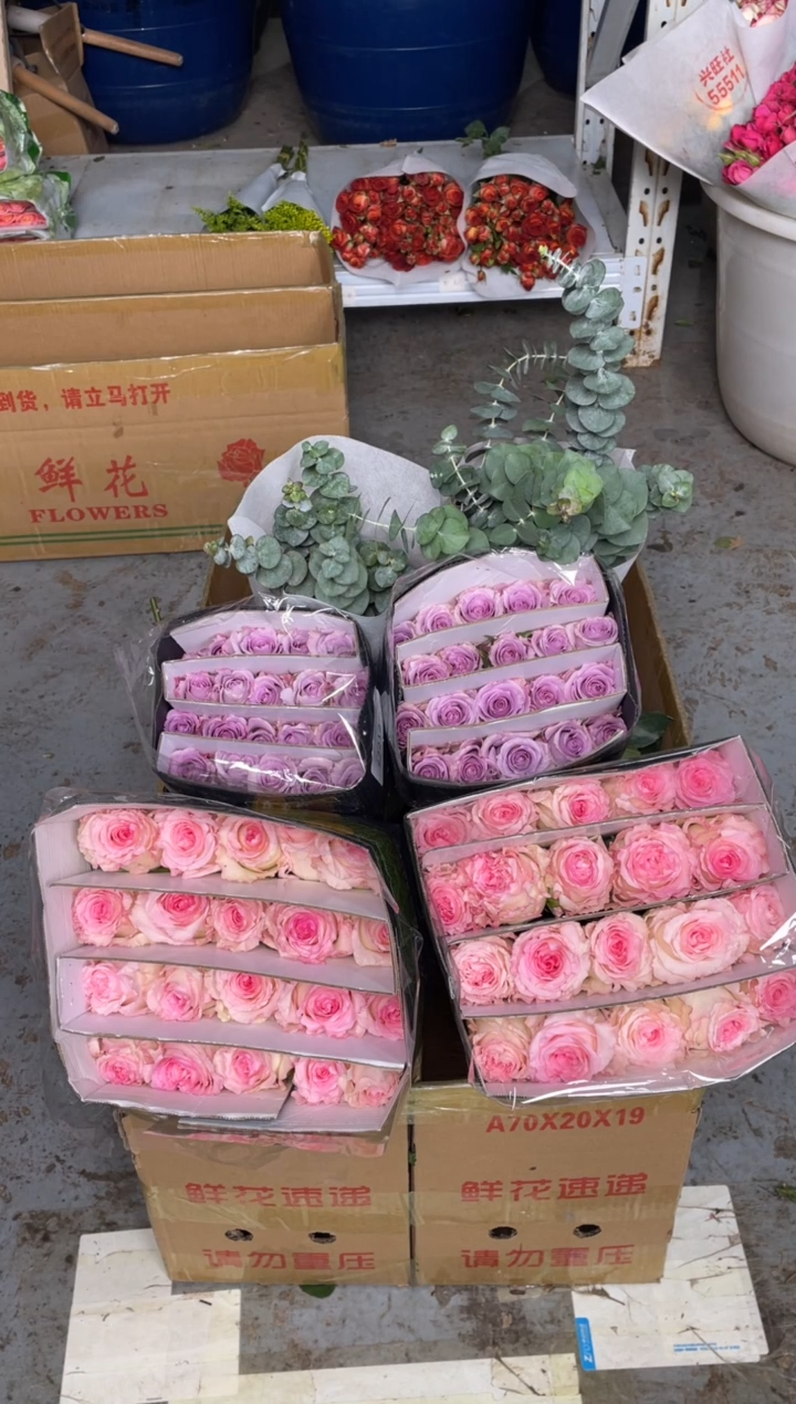 洛神20枝+海洋之歌20枝+双头粉百合10枝+尤加利