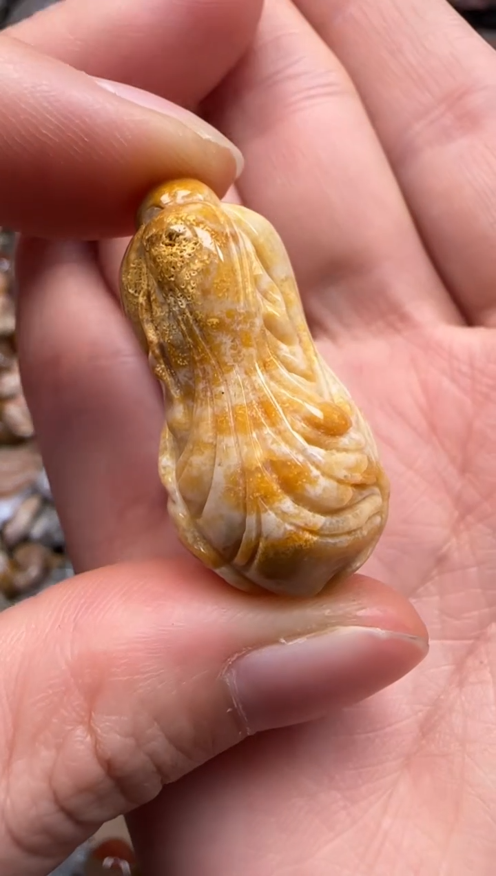 【闪购商品】硅化珊瑚（珊瑚玉）颈饰未镶嵌405