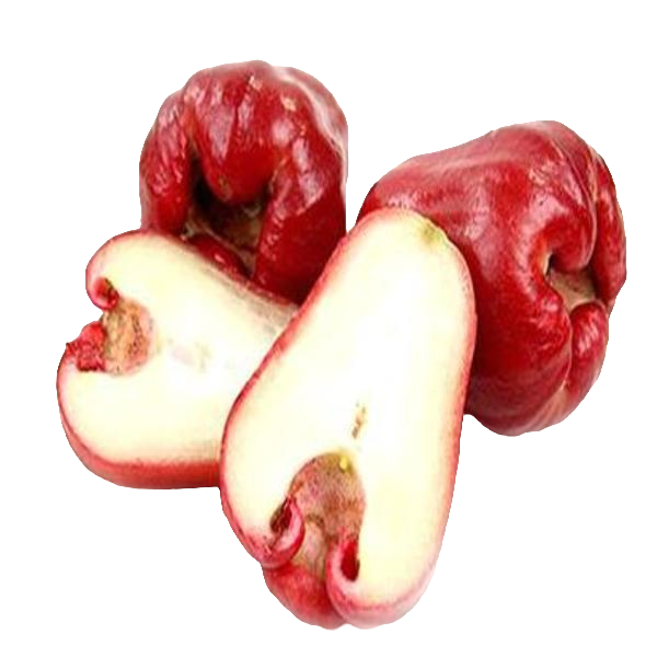 台湾黑金刚莲雾盒装两个