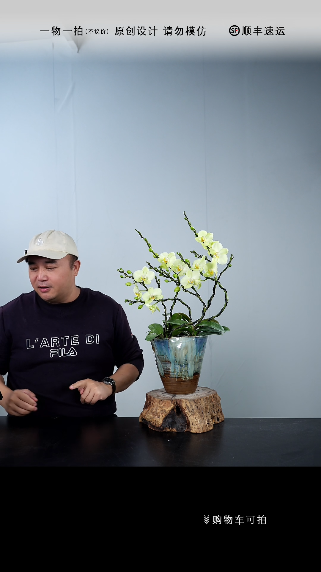 【闪购商品】072号链接【一物一拍】艺术盆景