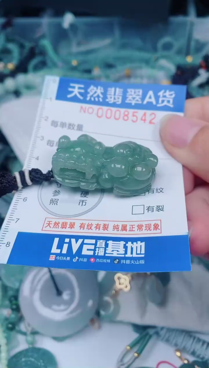 颈饰未镶嵌翡翠00008542