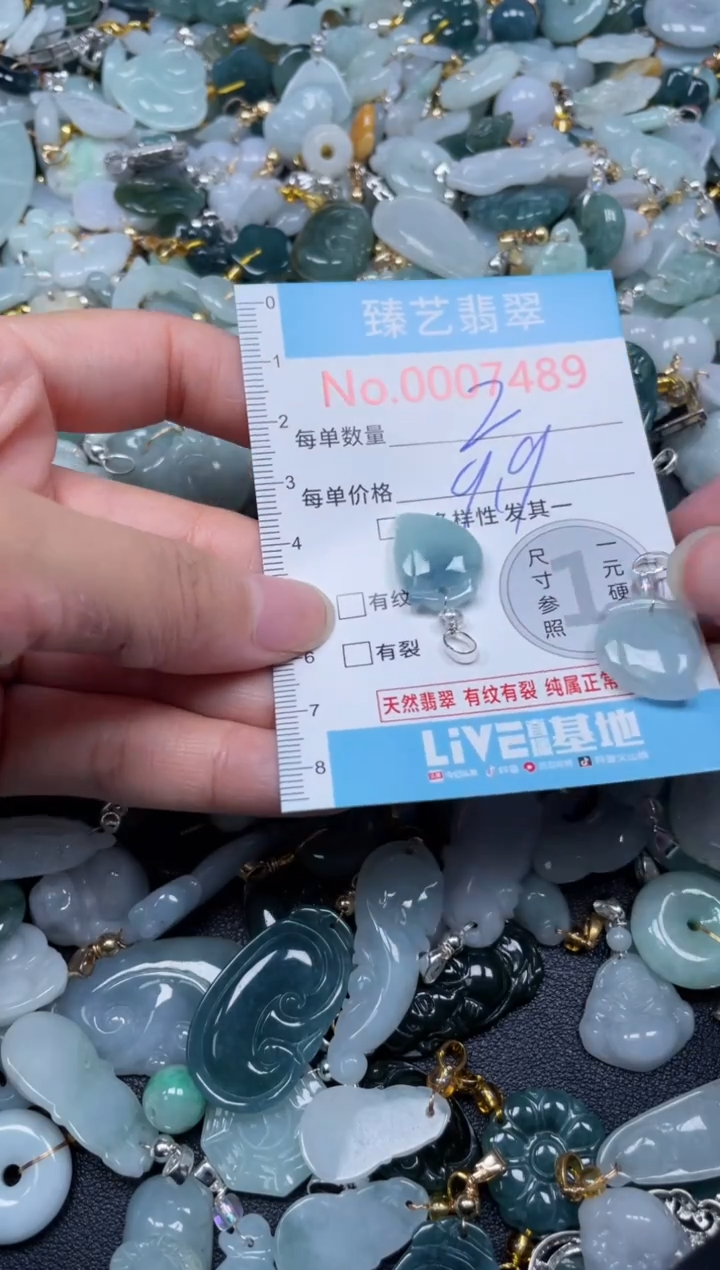 颈饰未镶嵌翡翠7489