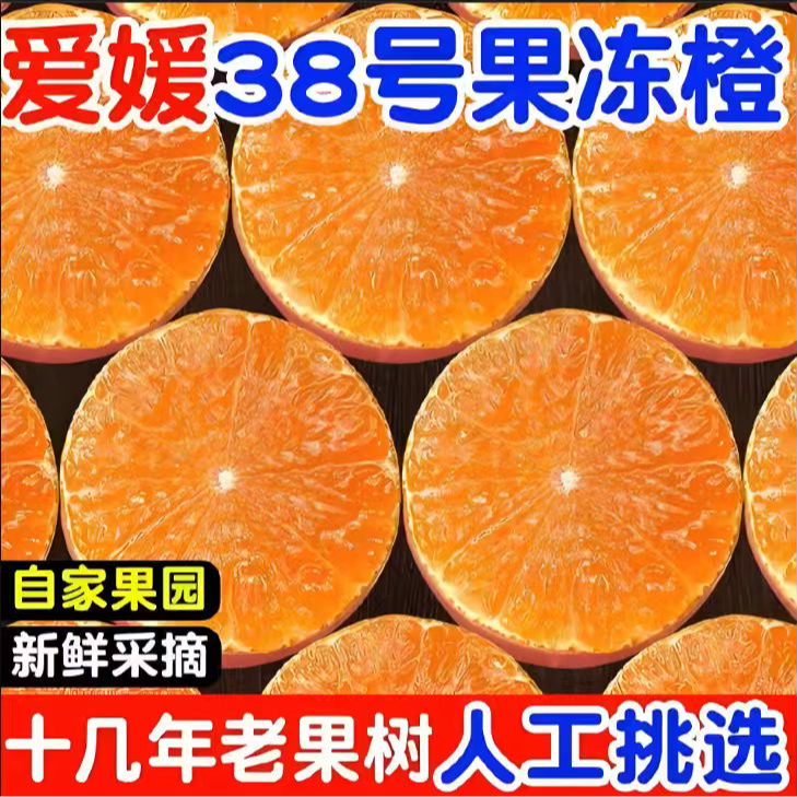 四川眉山爱媛38号果冻橙新鲜现摘应季水果汁水充足 苗主任助农