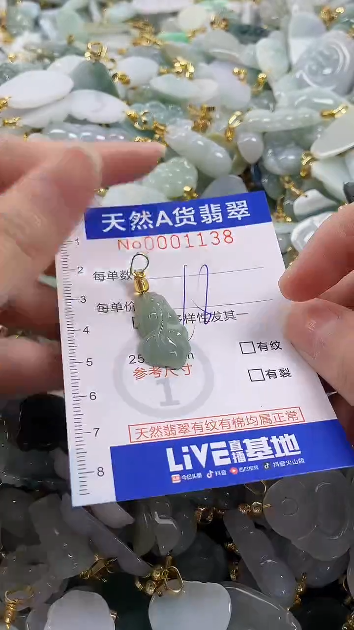 颈饰未镶嵌翡翠纯天然a货翡翠