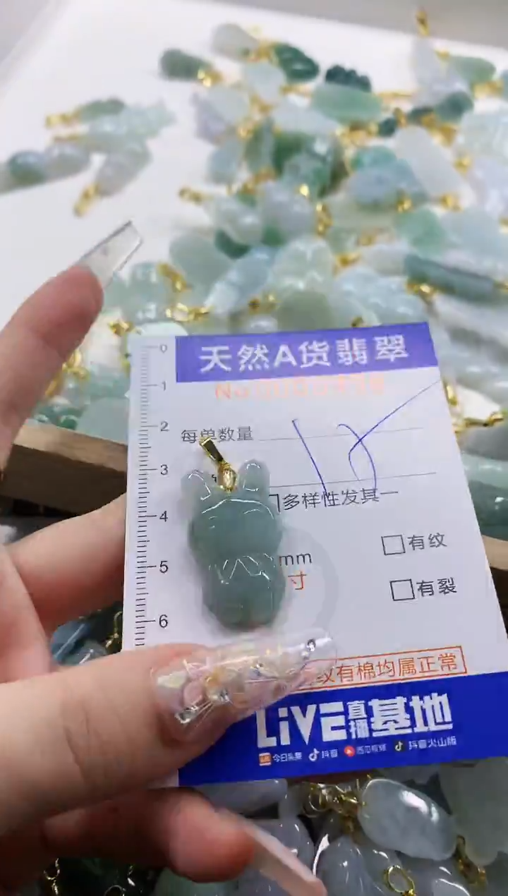 颈饰未镶嵌翡翠天然A货翡翠