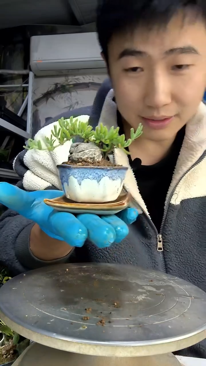 锐*中青园艺一物一拍花143