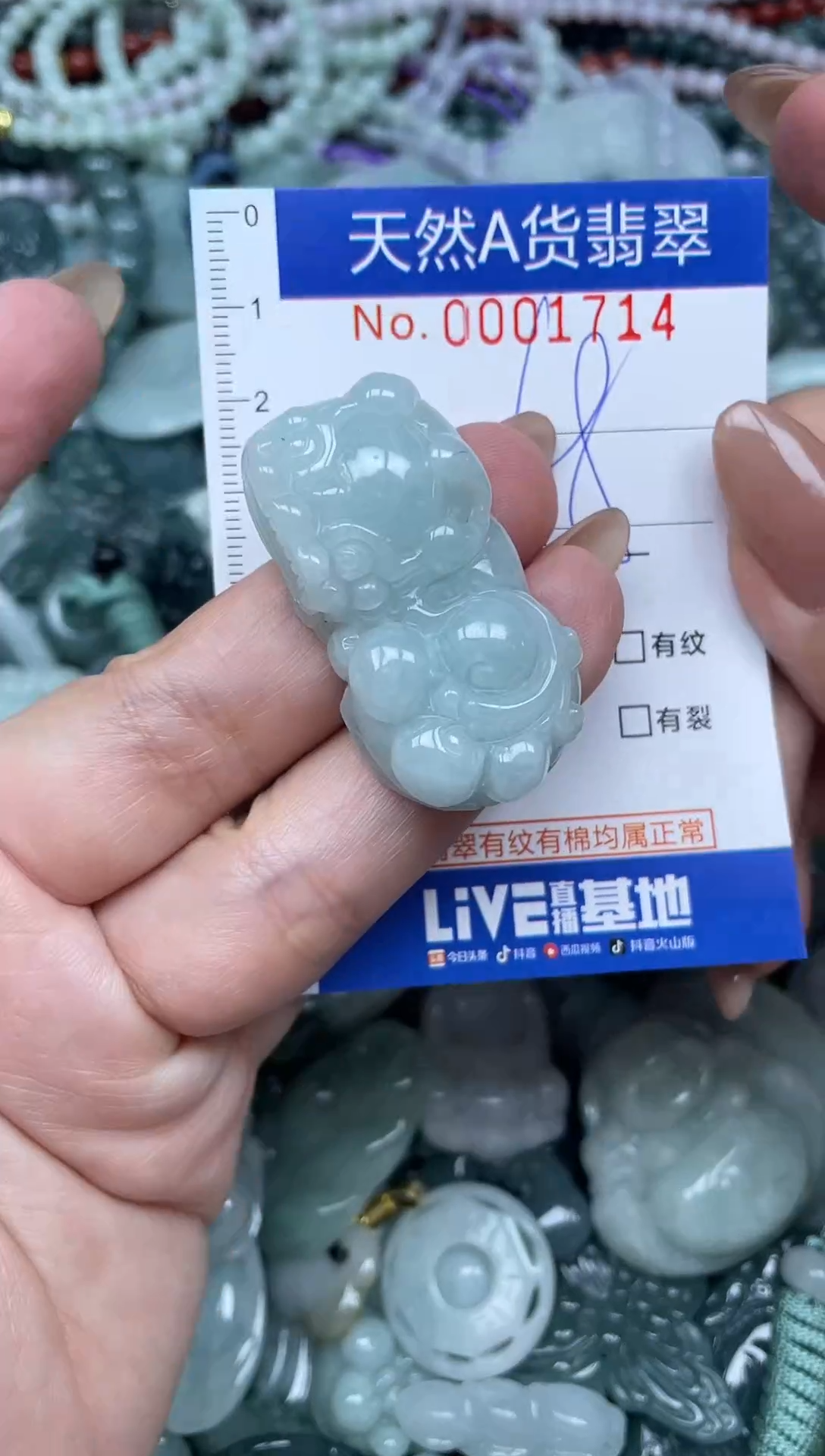 颈饰未镶嵌翡翠天然A货 支持复检