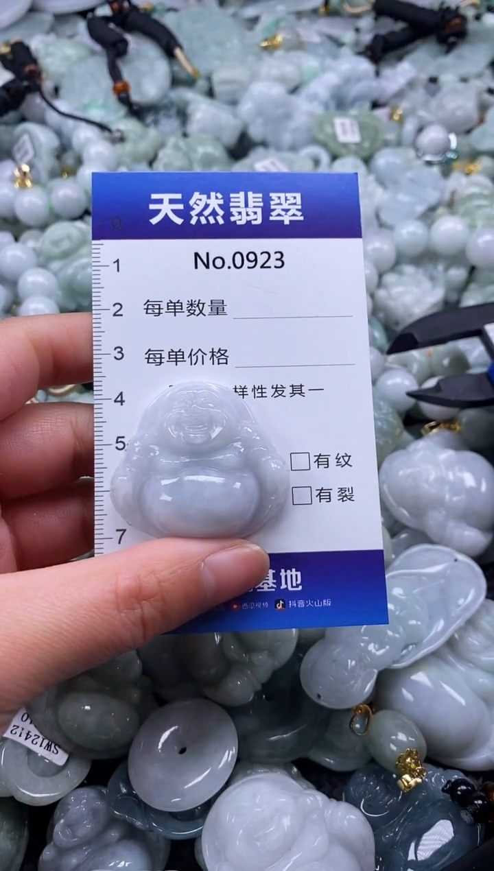 【闪购商品】翡翠颈饰未镶嵌缅甸A货翡翠0923