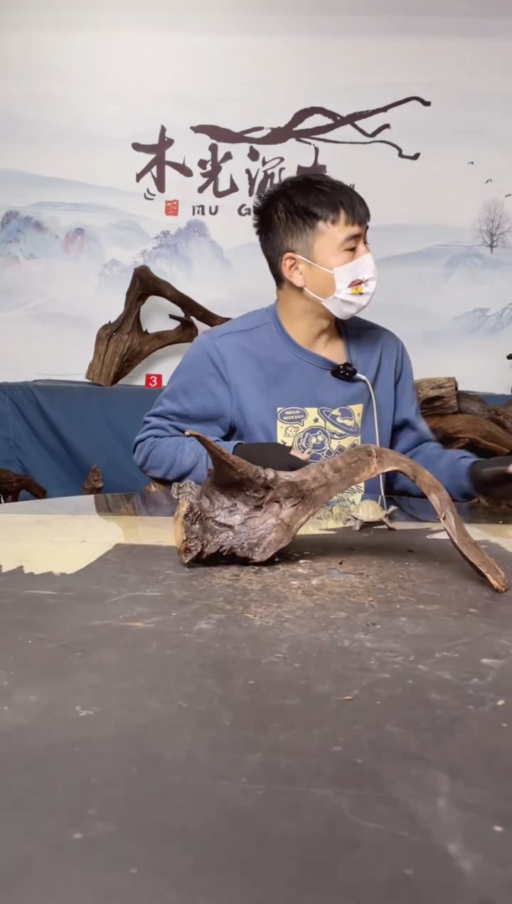 【闪购商品】A752木光沉木木光沉木