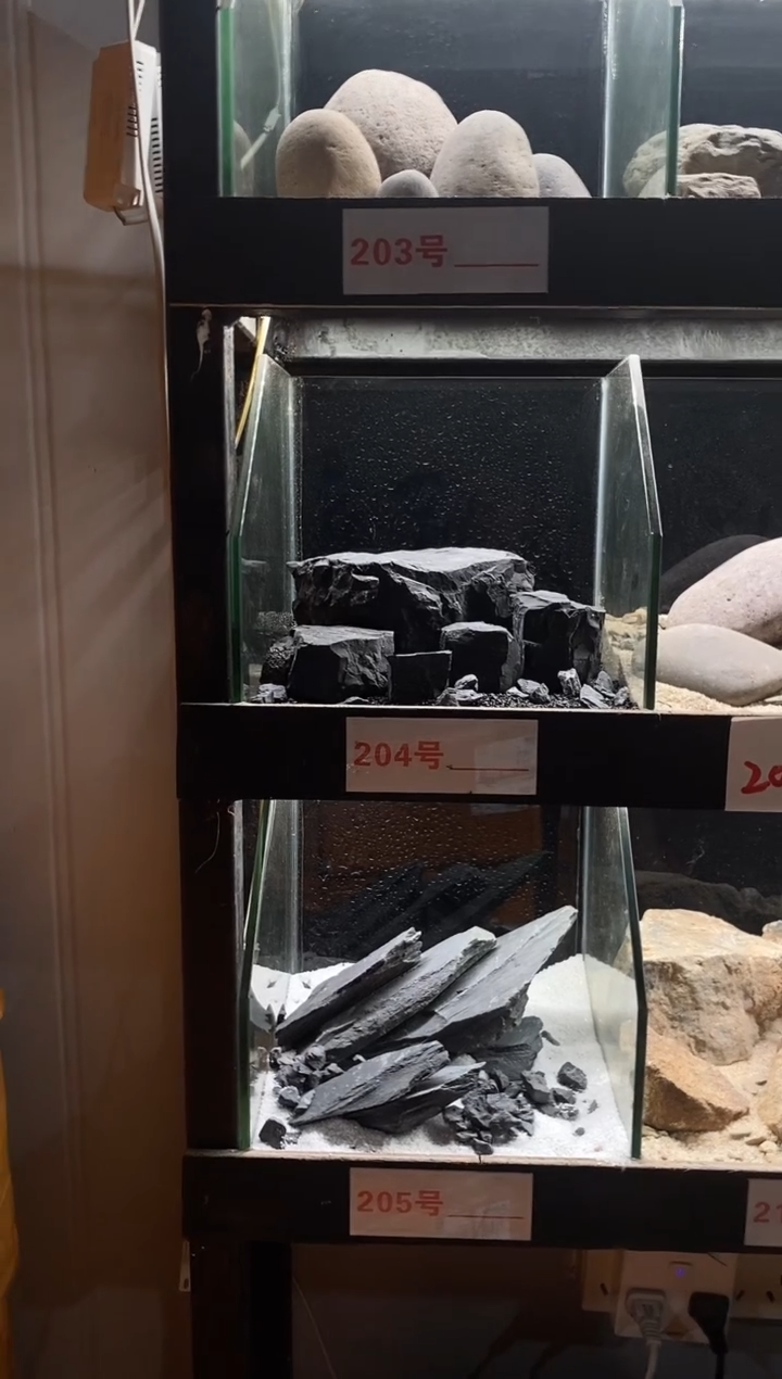 204号鱼缸造景（不含底砂） 