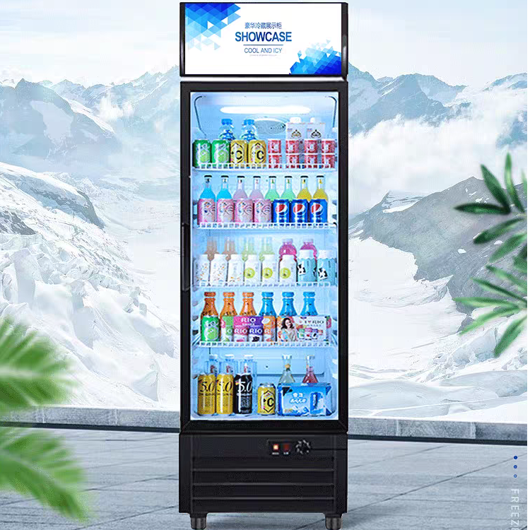 啤酒柜冷藏柜保鲜酒水展示柜商用冰柜立式雪柜超市冰箱饮料柜