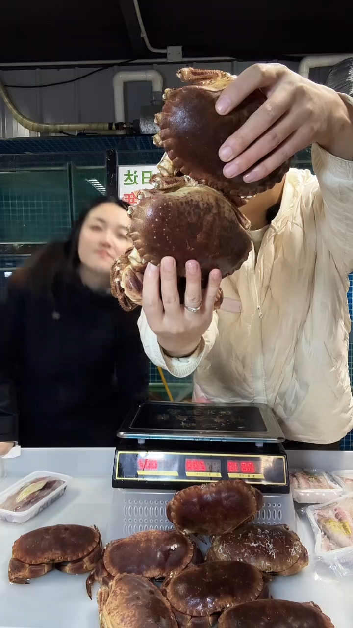 中国大陆面包蟹三只