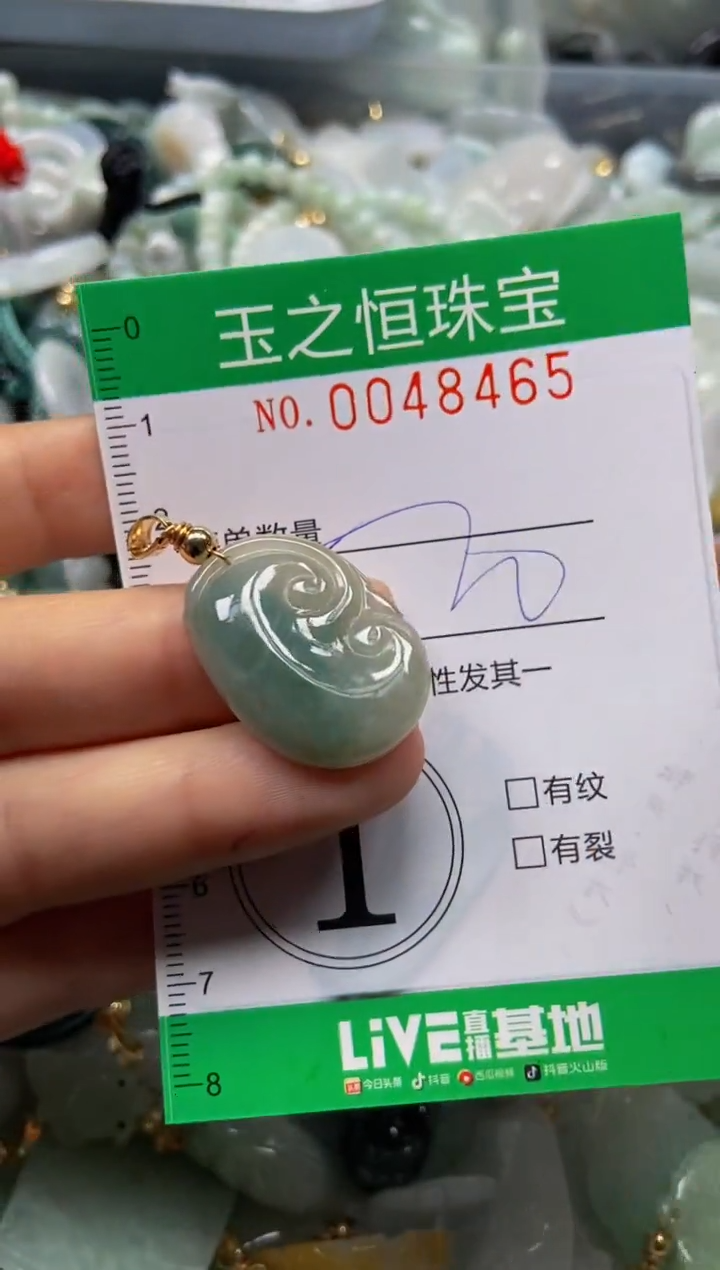 【闪购商品】翡翠颈饰未镶嵌闪购0048465