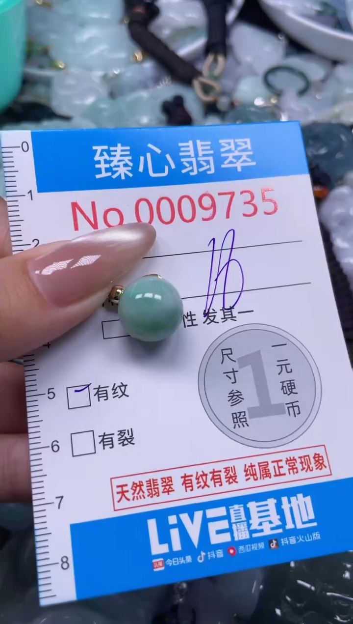 颈饰未镶嵌翡翠9735