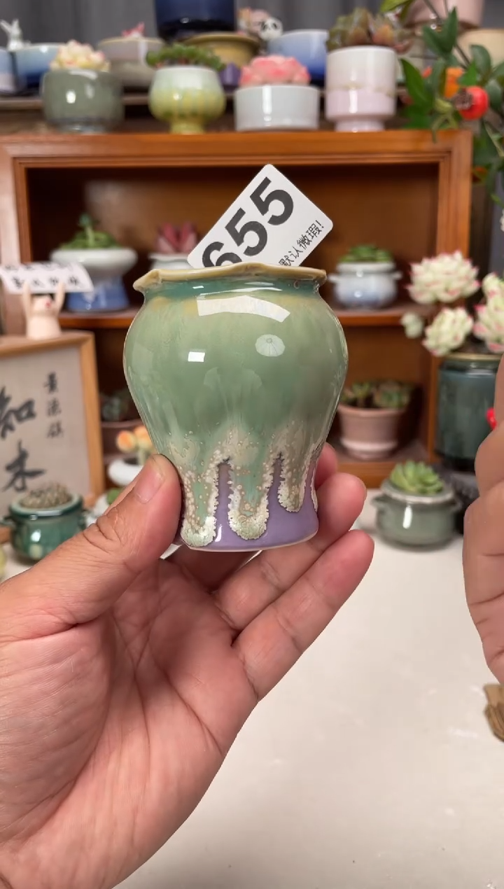瓷片655微瑕知木花盆小芳