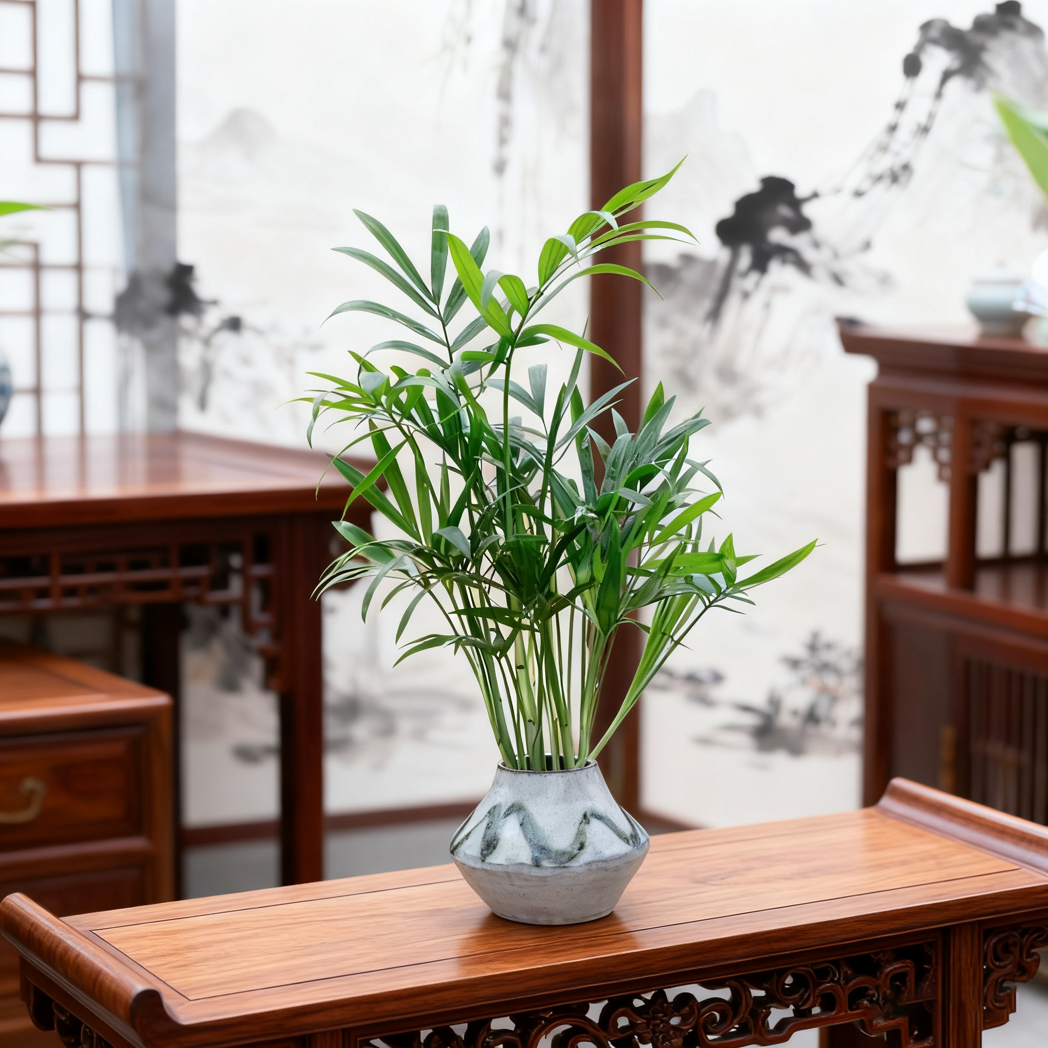 水榭花乡袖珍椰子水培绿植桌面家居好养简约四季常青