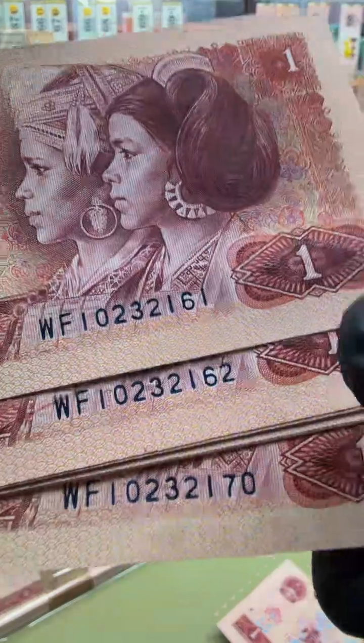  801 WF10232161组标十