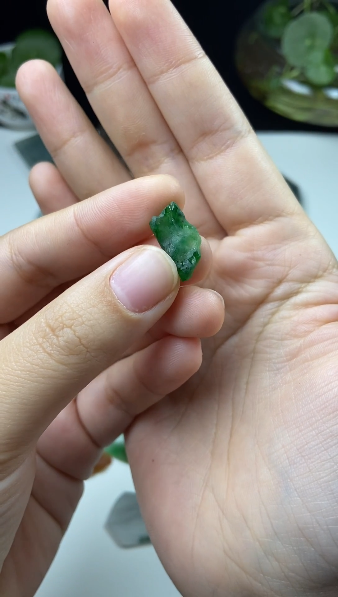 未镶嵌定制翡翠翡翠片料定制未镶嵌11.24-7