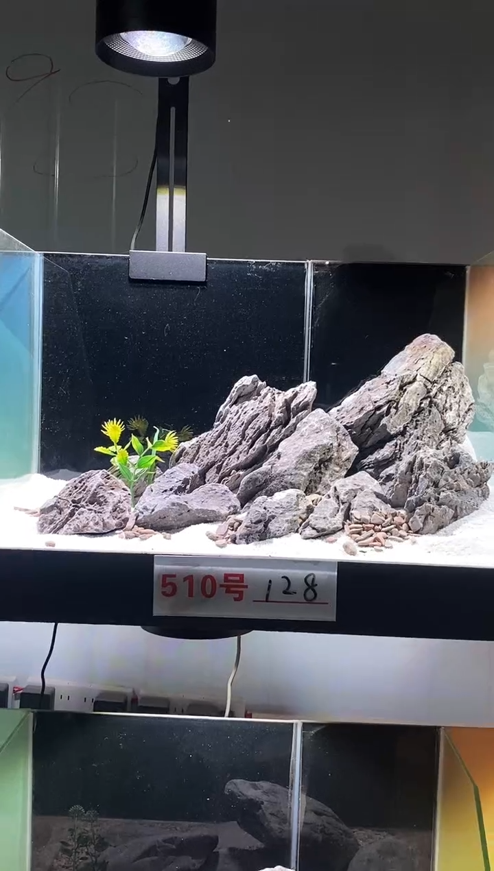 510号鱼缸造景（不含底砂）