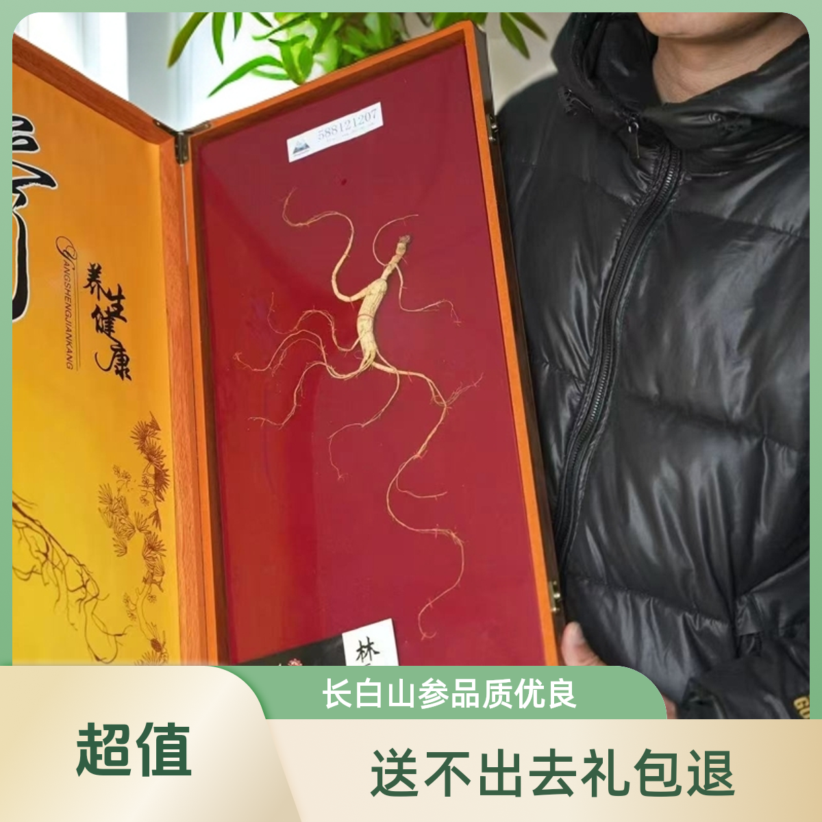 长白山60公分15林下参送礼盒人参整支干参野山参送礼专用价格划算