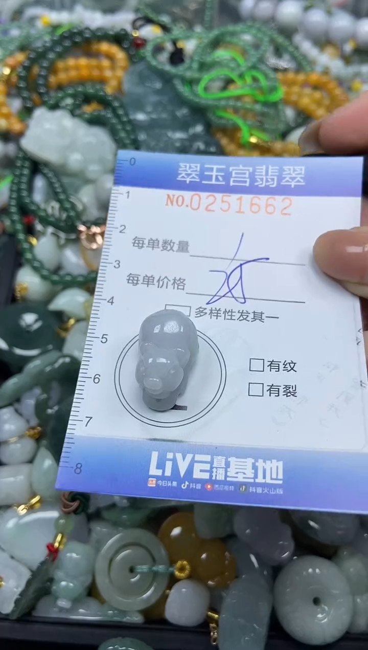 颈饰未镶嵌翡翠闪购C0251662