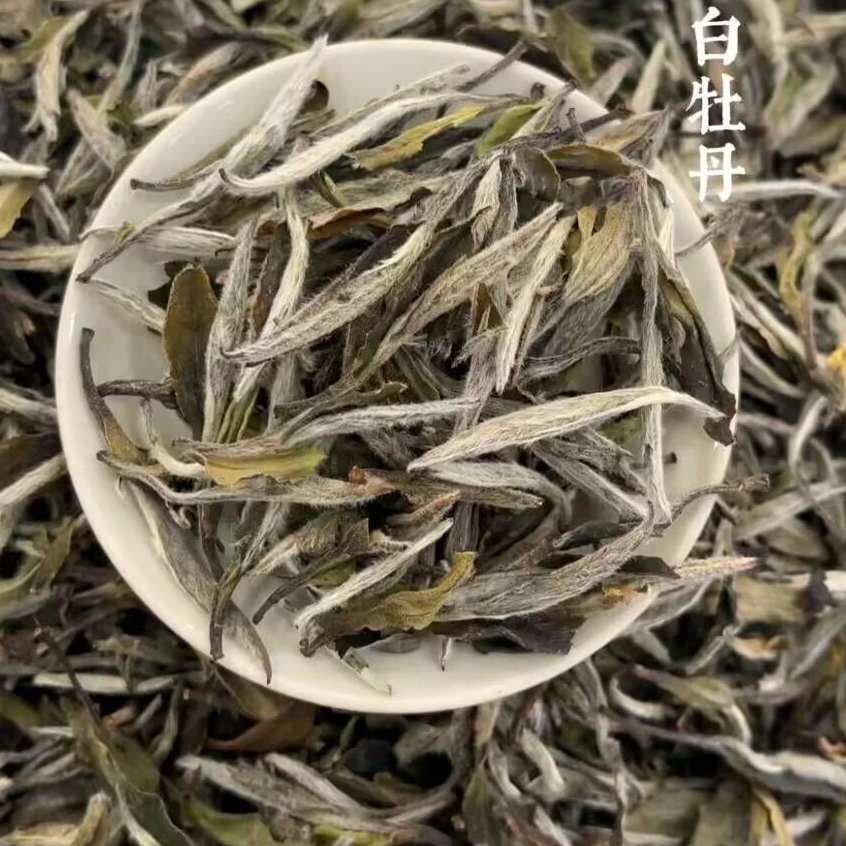 夷者 牡丹白茶手工日晒/50g