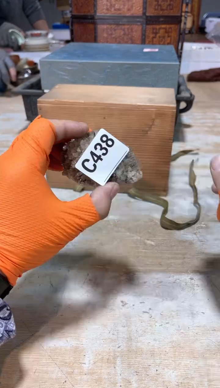 直播定闪专用链接12356