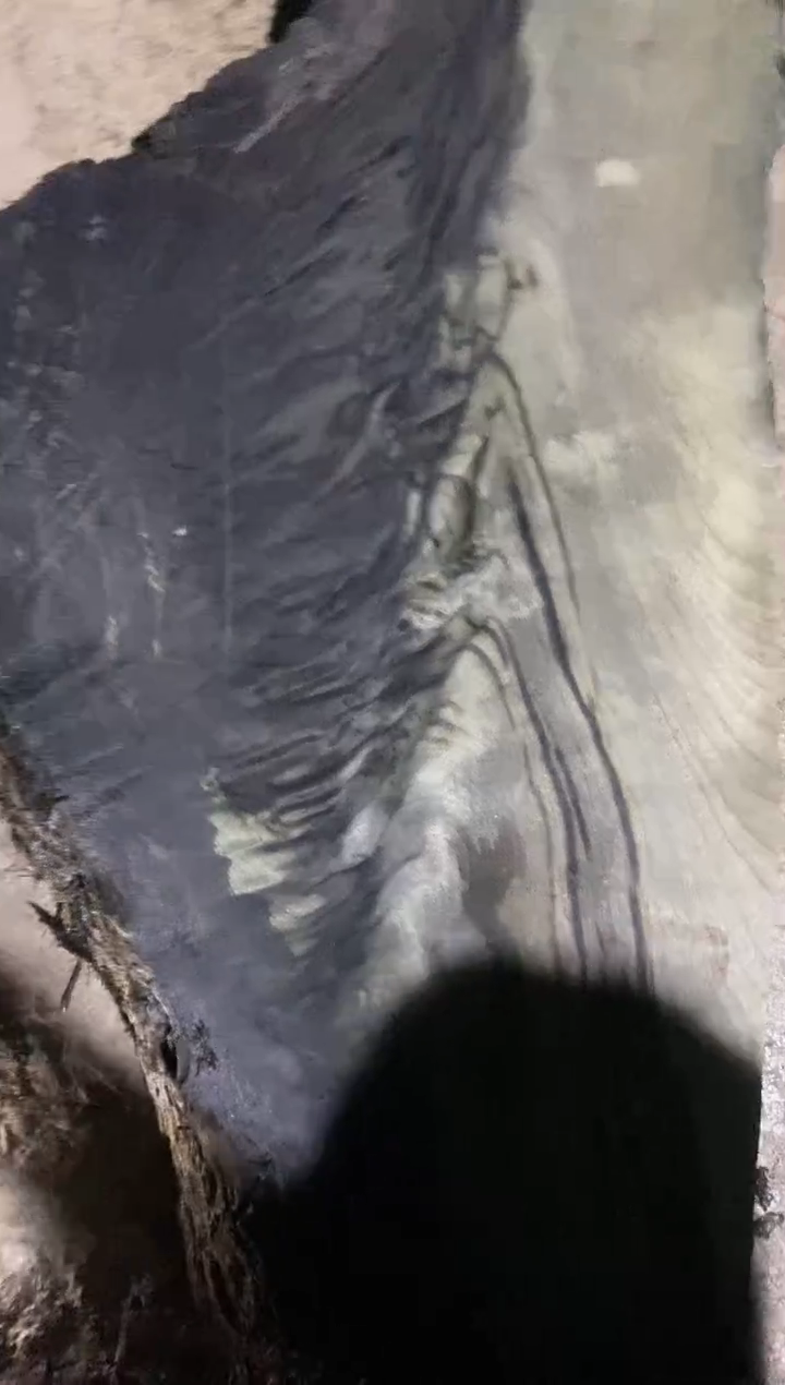 皆***人金丝楠木原料木材