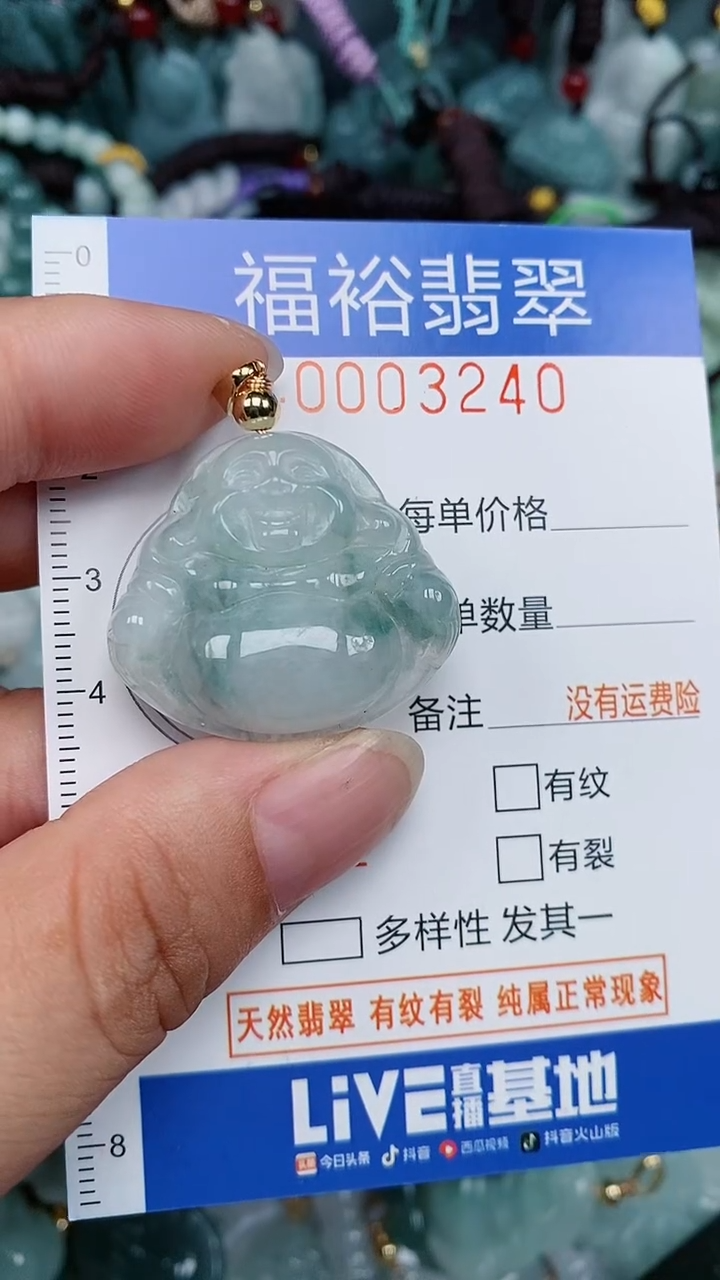 翡翠未镶嵌颈饰...0003240