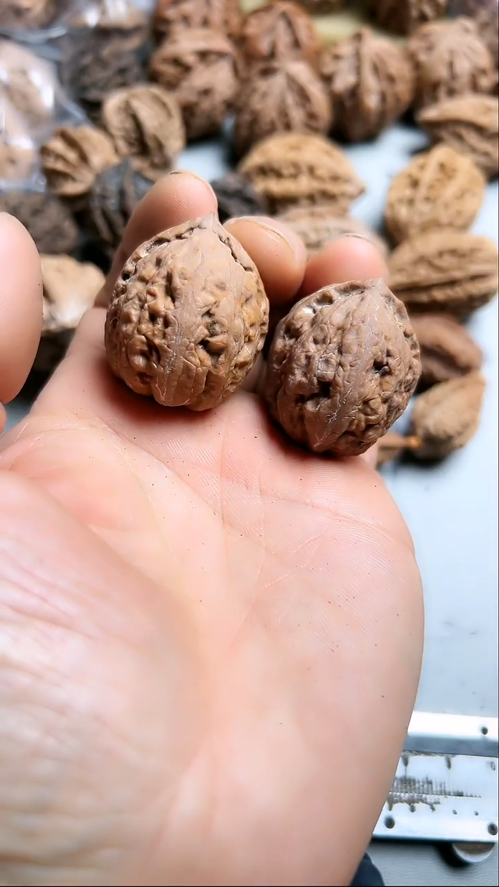 核桃东北野生大秋子4