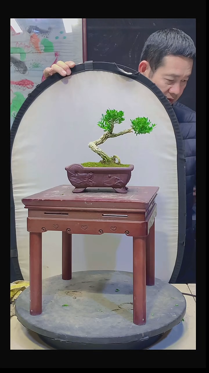 无花朵月**酌11111111111111