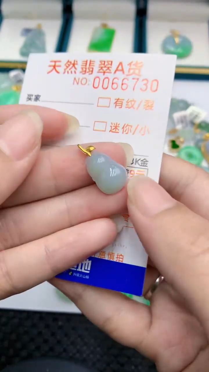 【闪购商品】翡翠颈饰18K金镶嵌            8