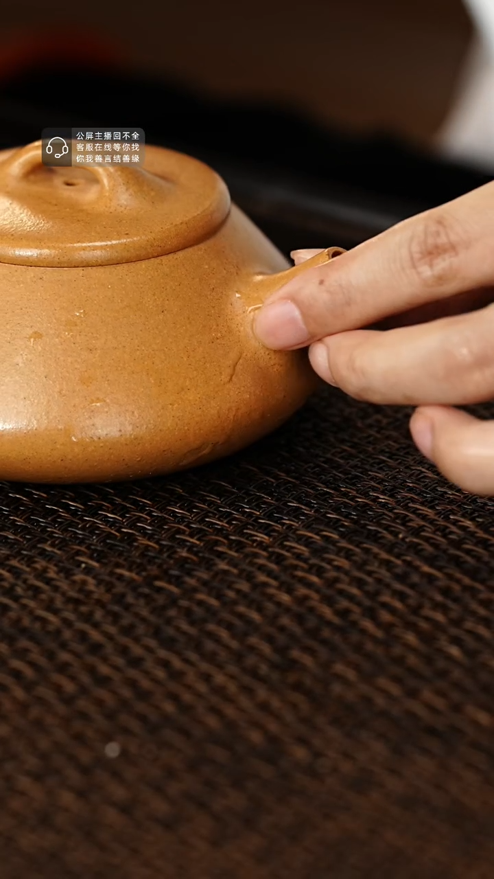 茶壶紫砂紫砂茶壶纳瓢
