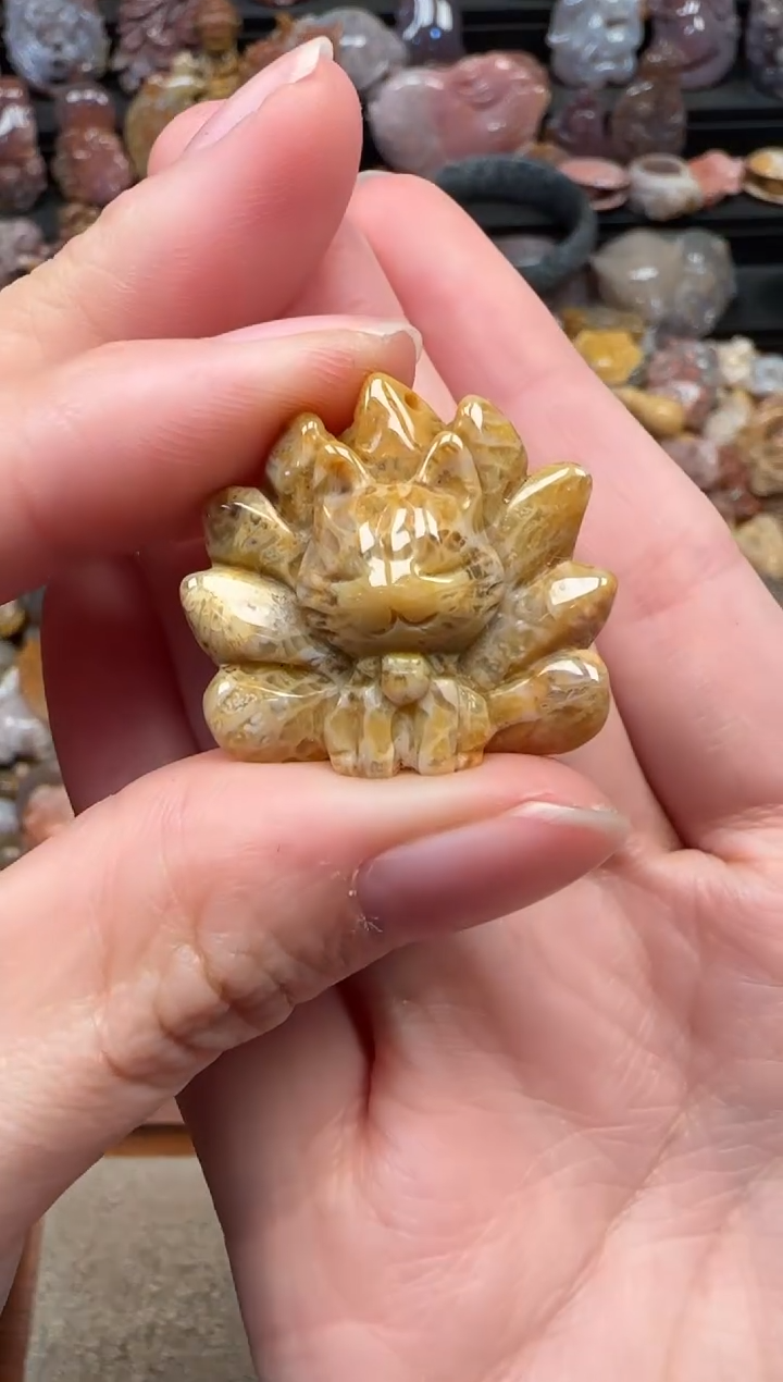 颈饰未镶嵌硅化珊瑚（珊瑚玉）718