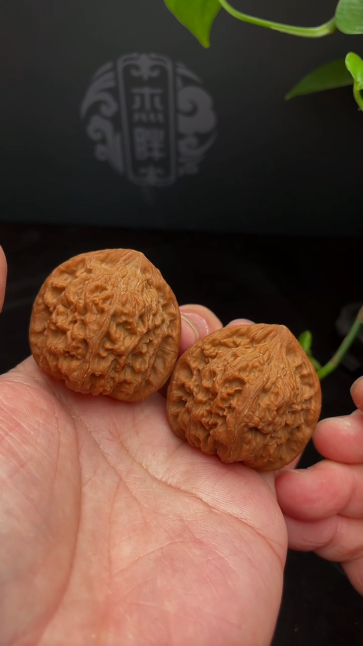 【闪购商品】文玩核桃把件43尺红狮子。团（全品）