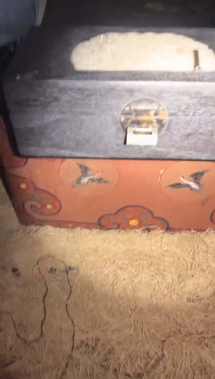 【闪购商品】【闪购商品】mh【闪购商品】