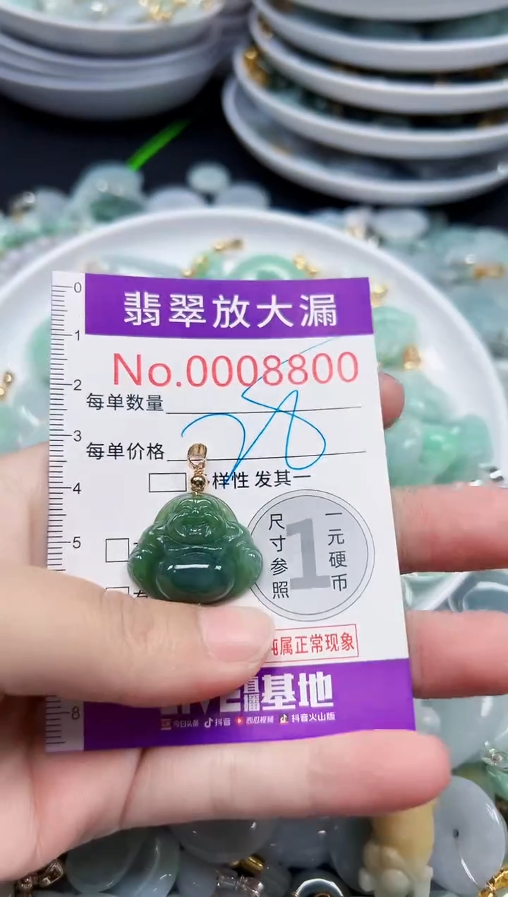 颈饰未镶嵌翡翠8800