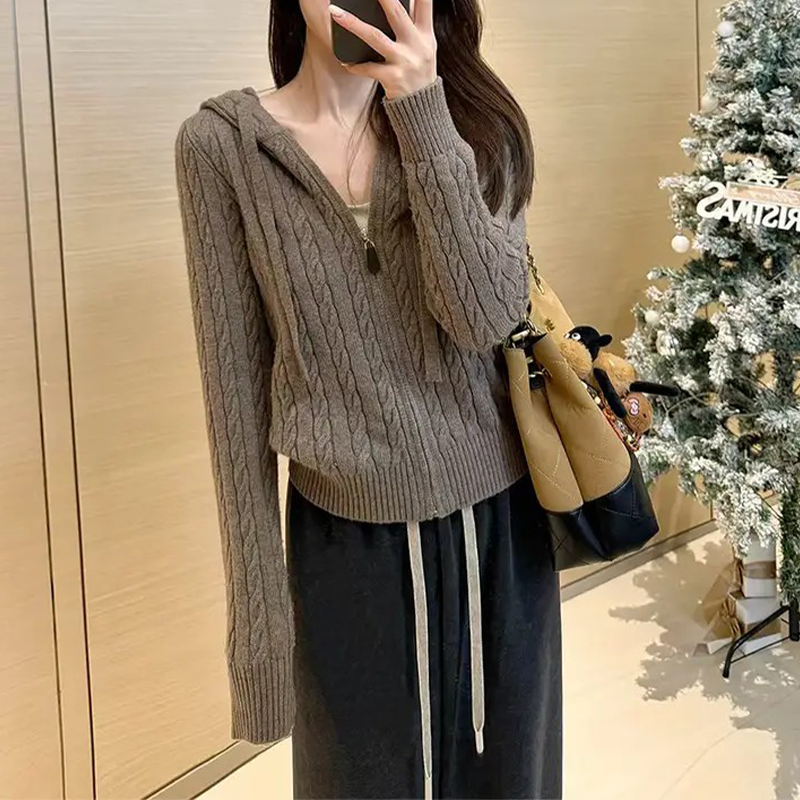 香朵儿【麻花纹理感】连帽修身毛衣外套女毛针织衫开衫秋冬显瘦上衣