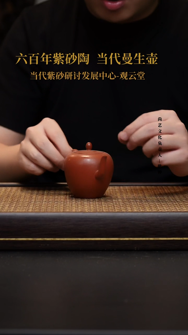 茶壶紫砂宜兴紫砂壶